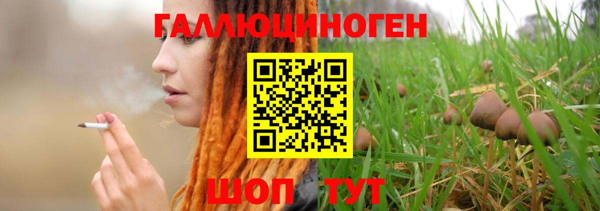 Псилоцибиновые грибы MAGIC MUSHROOMS  Вход с VPN  что такое   Крымск 