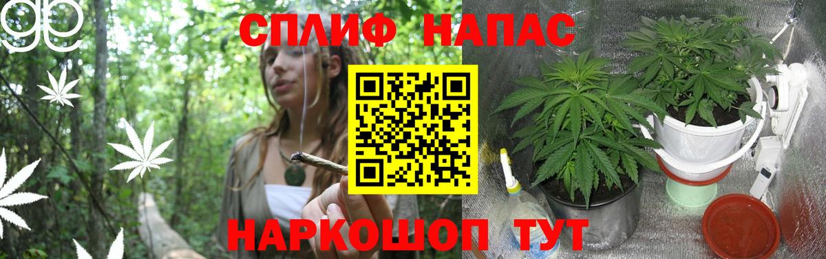 Бошки марихуана сатива Крымск